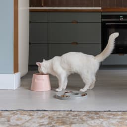 Hoopo® Tower - Ergonomische Kattenvoerbak - Wasmachine bestendig - Extra Zware Voerbak schuift niet weg - Gemaakt van Porselein — thumbnail 3