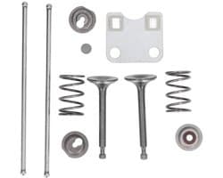 Beschermkappen voor de kleppen, veersets en accessoires voor de Geschikt GX160 en GX200 grasmaaiers van 5,5 pk en 6,5 pk.
