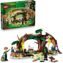 LEGO Wicked - Elphaba's schuilhut Constructiespeelgoed — thumbnail 2