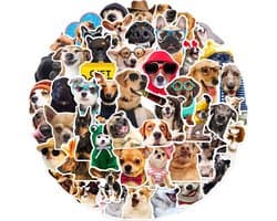 Grappige Honden Stickers - 50 stuks - Dog Memes stickers voor laptop, mobieltje, muur, waterfles etc. 5x6CM