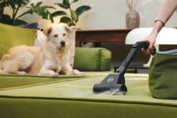 Hoover HE120PET 011 - sledestofzuiger - 2,5 L - 700 W - met stofzak - droog — thumbnail 3