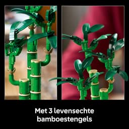 LEGO Botanicals Bamboe 10344 — thumbnail 5