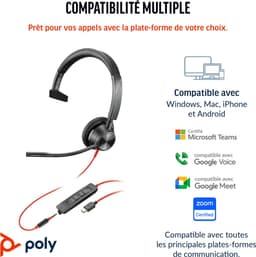 HP Poly Poly Blackwire 3315 Microsoft Teams Certified USB-C Headset — thumbnail 2