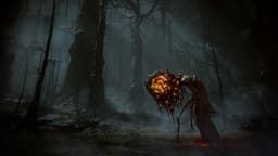 Elden Ring Shadow Of The Erdtree - Collector's Edition - Xbox Series X — thumbnail 3
