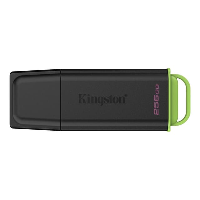 Kingston DataTraveler Exodia 256 GB usb-stick