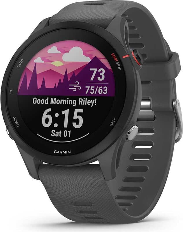 GARMIN Forerunner 255 Leigrijs — afbeelding 1