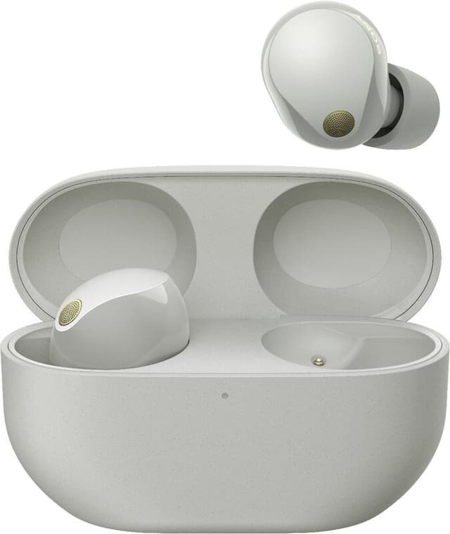 Sony WF-1000XM5 - Volledig draadloze oordopjes met Noise Cancelling (Zilver)