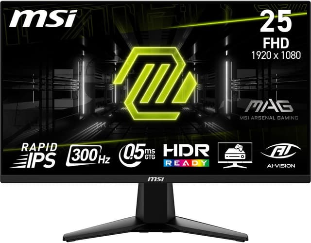 MSI Monitor MAG 255XF | | 4711377251204