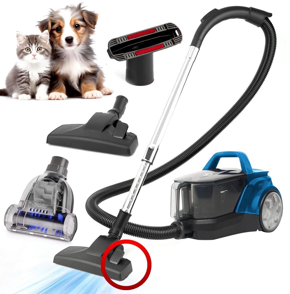 AG3200 Stofzuiger Zonder Zak – 900W Krachtige Vacuum Cleaner – Geschikt voor Dierenharen – Turboborstel voor Katten & Honden – Sterke Zuigkracht – Zakloos – 3L – HEPA-filter – Aurora Blue — afbeelding 1