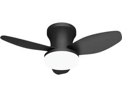 Bovista Plafondventilator - Met Verlichting - Plafond Ventilator - Met Lamp - Plafonniere Met Ventilator - Met Licht - Zwart - 65cm
