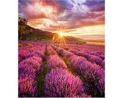 Samsung Smart LED Signage Indoor LED IF025HX 2.5mm pitch 192x216 pixels 1200 nits 1920-3840Hz — afbeelding 1
