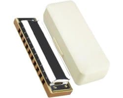 Diatonische Mondharmonica - Muziek Instrument - Muziek Maken - 10 Gaten 20 Tonen - 400 gram - Toonsoort C