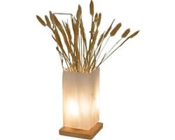 Dimbare tafellamp met melkglazen kap en USB-aansluiting, ideaal voor sfeervolle verlichting in slaapkamer, woonkamer of kantoorruimte