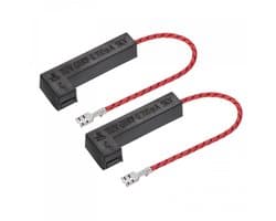 2 Stuks Hoogspanning Vervang Fuse voor Magnetron 5KV 0.7A
