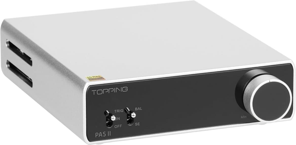 100W x 2 Klasse D Eindversterker met Balans en TRS/RCA Invoer voor Thuis Audio — afbeelding 1