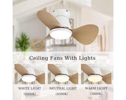 Stille Plafondventilator met Verlichting en Afstandsbediening (60 cm)