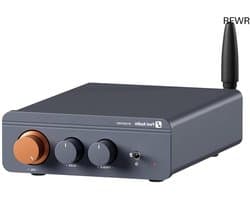 RFWR® Mini Stereo Versterker 2.0 Kanaals met Bluetooth 5.0 en 300W Uitgangsvermogen