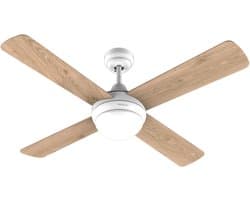 Ceiling Fan Cecotec