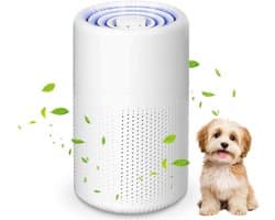 Luchtreiniger - Wit - Compact - HEPA-filter met Aromatherapie - Voor Allergieën en Gezonde Lucht