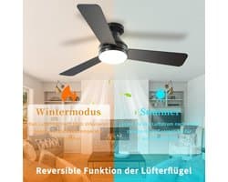 Plafondventilator met Lamp - Ventilatorlamp - Verkoeling en Verlichting - Dubbelzijdig Bladontwerp - 106 cm - Zwart