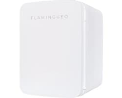 Mini Koelkast 10L - Draagbare Koelkast 12V/220V, Cosmetica Koelkast met Warm en Koud Functie