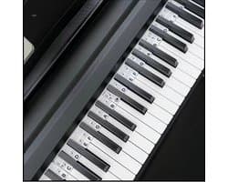 JWRgoods Siliconen Piano Stickers Afneembaar- Inclusief opbergbox - Toetsenwijzer - Herbruikbaar - Keyboard