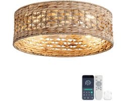 Plafondventilator 19 inch - Dubbele bediening via app en afstandsbediening - Zes snelheidsstanden - Geschikt voor lage plafonds en kleine appartementen - ABS-bladen met rotan rooster - Opengewerkt ontwerp