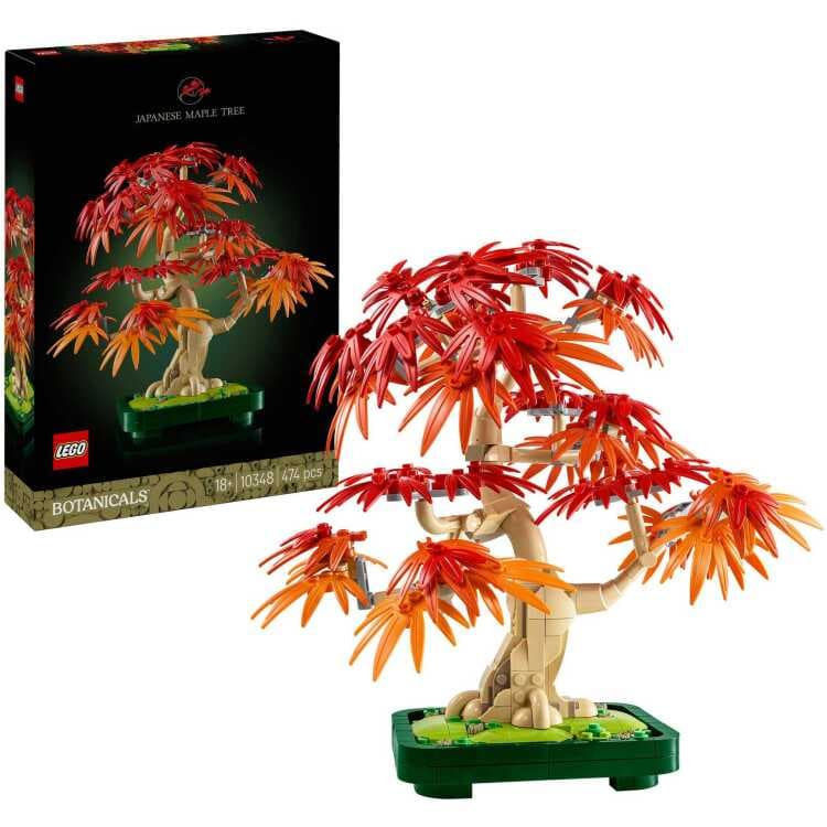 LEGO The Botanical Collection - Japanse esdoorn bonsaiboompje Constructiespeelgoed — afbeelding 1